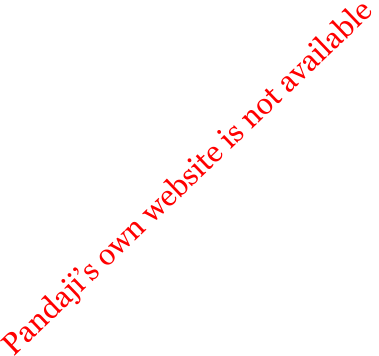 Pandajis own website is not available