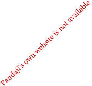 Pandajis own website is not available