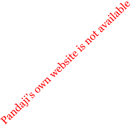 Pandajis own website is not available