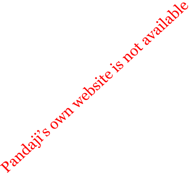Pandajis own website is not available