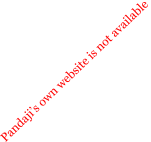 Pandajis own website is not available