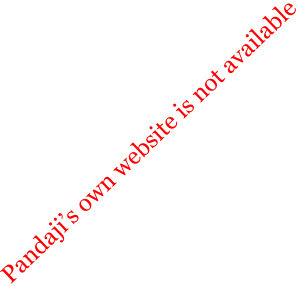 Pandajis own website is not available