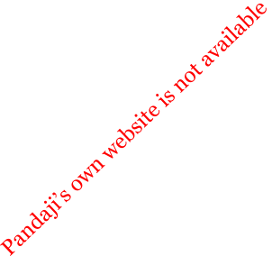 Pandajis own website is not available